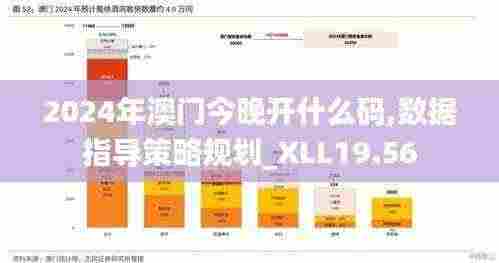 2024年澳门今晚开什么码,数据指导策略规划_XLL19.56