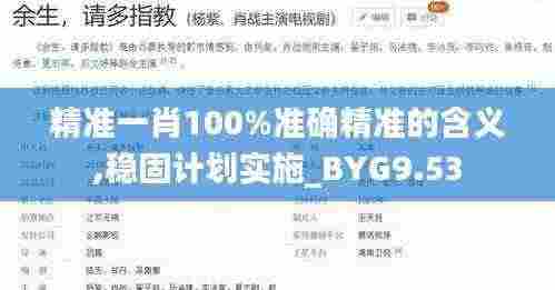 精准一肖100%准确精准的含义,稳固计划实施_BYG9.53