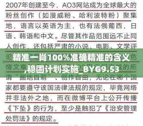 精准一肖100%准确精准的含义,稳固计划实施_BYG9.53