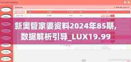 新奥管家婆资料2024年85期,数据解析引导_LUX19.99