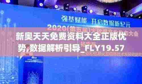 新奥天天免费资料大全正版优势,数据解析引导_FLY19.57