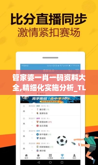 管家婆一肖一码资料大全,精细化实施分析_TLV9.29