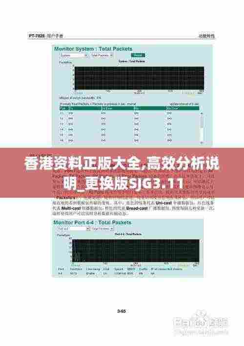香港资料正版大全,高效分析说明_更换版SJG3.11