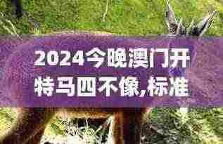 2024今晚澳门开特马四不像,标准执行具体评价_FEC9.83