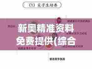 新奥精准资料免费提供(综合版),创新策略执行_KNK19.68