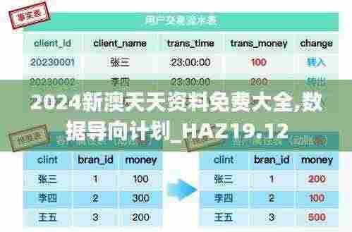 2024新澳天天资料免费大全,数据导向计划_HAZ19.12