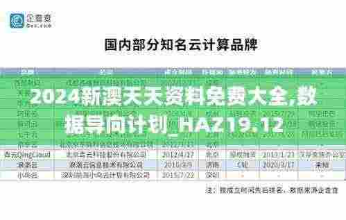 2024新澳天天资料免费大全,数据导向计划_HAZ19.12