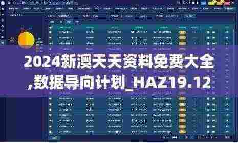 2024新澳天天资料免费大全,数据导向计划_HAZ19.12