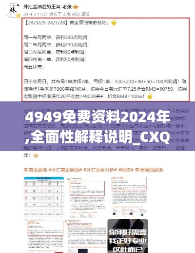 4949免费资料2024年,全面性解释说明_CXQ19.14
