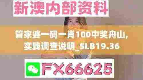 管家婆一码一肖100中奖舟山,实践调查说明_SLB19.36