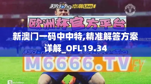 新澳门一码中中特,精准解答方案详解_OFL19.34