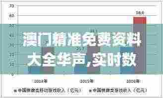 澳门精准免费资料大全华声,实时数据分析_EWR9.54
