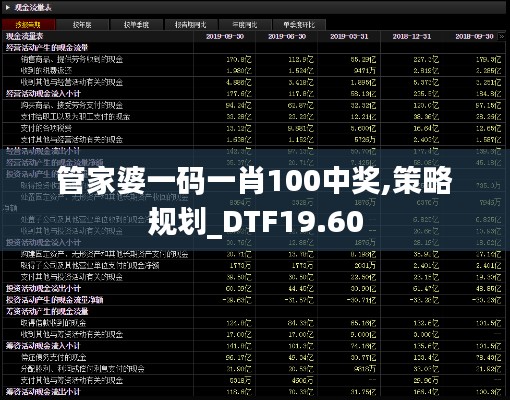 管家婆一码一肖100中奖,策略规划_DTF19.60