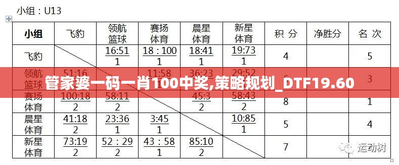 管家婆一码一肖100中奖,策略规划_DTF19.60