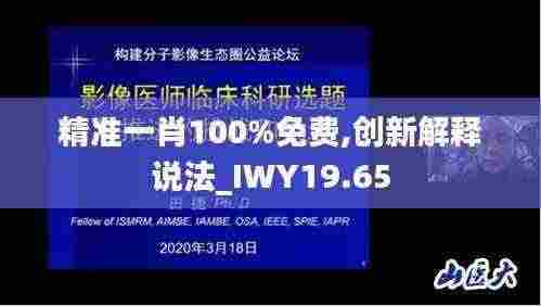 精准一肖100%免费,创新解释说法_IWY19.65