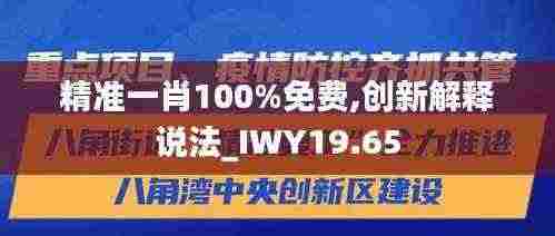 精准一肖100%免费,创新解释说法_IWY19.65