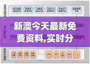新澳今天最新免费资料,实时分析处理_NGZ19.10