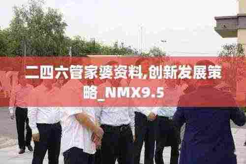 二四六管家婆资料,创新发展策略_NMX9.5