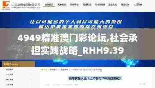 4949精准澳门彩论坛,社会承担实践战略_RHH9.39