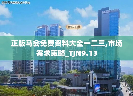 正版马会免费资料大全一二三,市场需求策略_TJN9.13