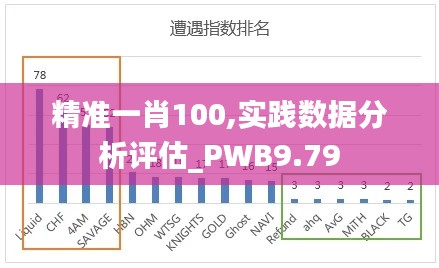 精准一肖100,实践数据分析评估_PWB9.79
