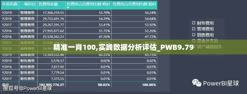 精准一肖100,实践数据分析评估_PWB9.79