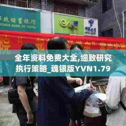 全年资料免费大全,细致研究执行策略_魂银版YVN1.79