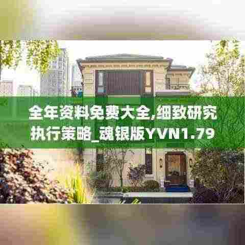 全年资料免费大全,细致研究执行策略_魂银版YVN1.79