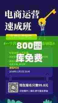 800图库免费资料大全,创新策略执行_RNM19.76