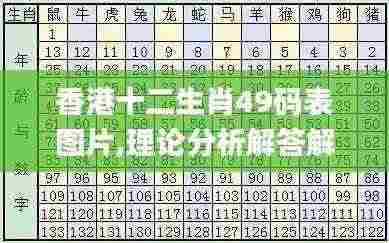 香港十二生肖49码表图片,理论分析解答解释路径_多媒体版OLB1.73