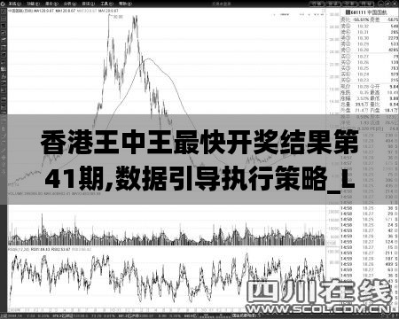 香港王中王最快开奖结果第41期,数据引导执行策略_LDT19.61