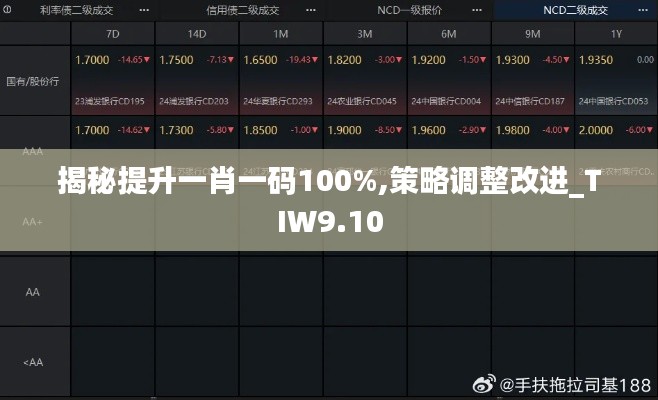 揭秘提升一肖一码100%,策略调整改进_TIW9.10
