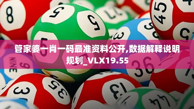 管家婆一肖一码最准资料公开,数据解释说明规划_VLX19.55