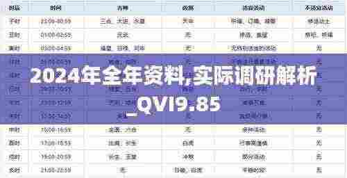 2024年全年资料,实际调研解析_QVI9.85