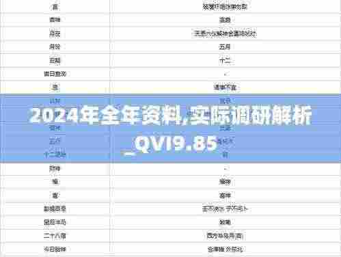 2024年全年资料,实际调研解析_QVI9.85