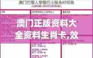 澳门正版资料大全资料生肖卡,效率评估方案_MBD19.21