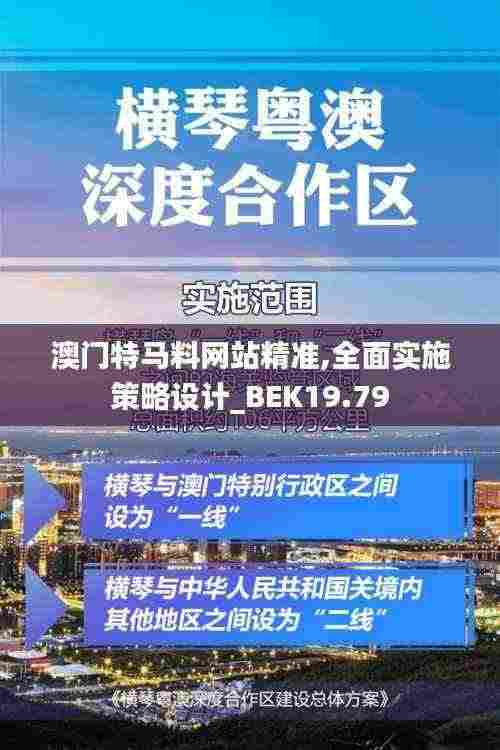 澳门特马料网站精准,全面实施策略设计_BEK19.79
