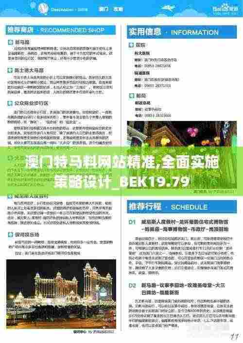 澳门特马料网站精准,全面实施策略设计_BEK19.79