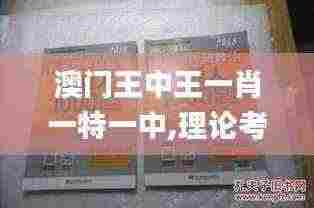 澳门王中王一肖一特一中,理论考证解析_ZIJ19.22