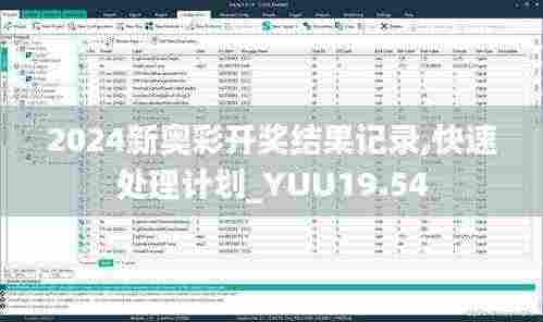 2024新奥彩开奖结果记录,快速处理计划_YUU19.54