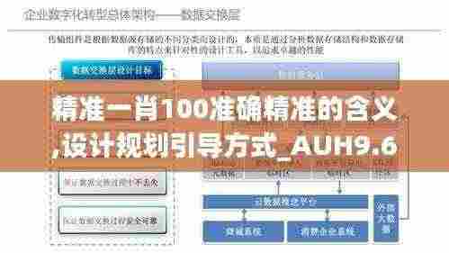 精准一肖100准确精准的含义,设计规划引导方式_AUH9.69