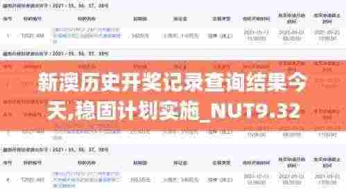 新澳历史开奖记录查询结果今天,稳固计划实施_NUT9.32