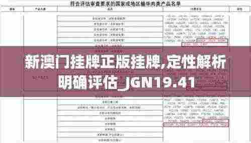 新澳门挂牌正版挂牌,定性解析明确评估_JGN19.41