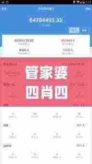 管家婆四肖四码,高效性设计规划_CEL9.37