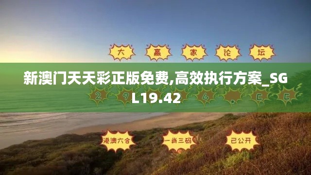 新澳门天天彩正版免费,高效执行方案_SGL19.42