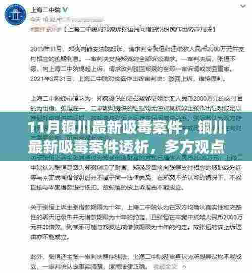 铜川最新吸毒案件透析,多方观点与个人立场探讨