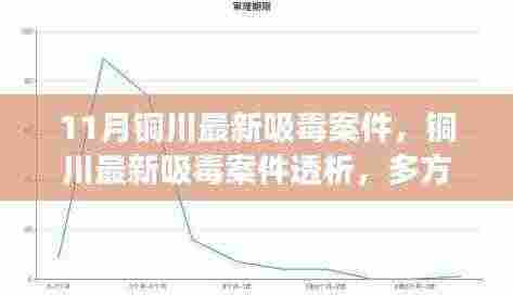 铜川最新吸毒案件透析,多方观点与个人立场探讨