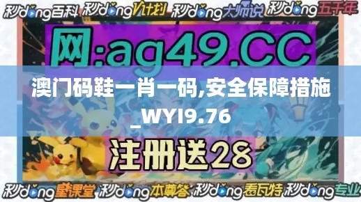 澳门码鞋一肖一码,安全保障措施_WYI9.76