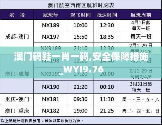 澳门码鞋一肖一码,安全保障措施_WYI9.76