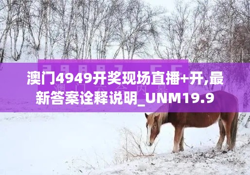 澳门4949开奖现场直播+开,最新答案诠释说明_UNM19.9